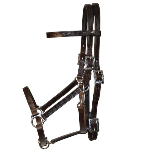 Tucker Horizon Series Halter Bridle 3 Tucker Horizon Series Halter Bridle
