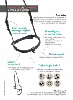 In Horse We Trust Flash Noseband With Crown 10 In Horse We Trust Flash Noseband With Crown -Equestrian Supplie Store in horse we trust flash nose graphic 53912.1541187077