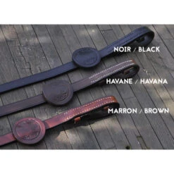 In Horse We Trust Reins Adjust 16 In Horse We Trust Reins Adjust -Equestrian Supplie Store in horse we trust reins leather colors 66814.1541186892