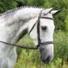 Red Barn Indio Hunter Bridle -Equestrian Supplie Store indio bridle grey horse side 512402 red barn 69712.1684372443