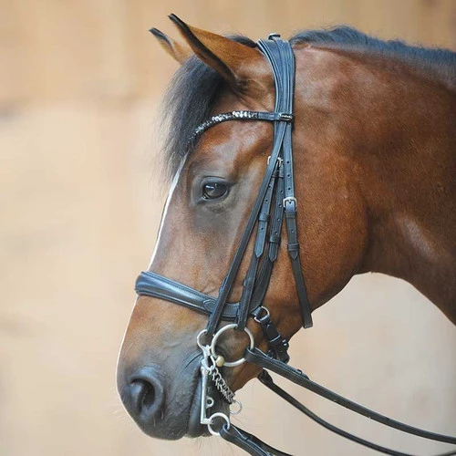 Kavalkade Ivonne Convertible Double Bridle 3 Kavalkade Ivonne Convertible Double Bridle