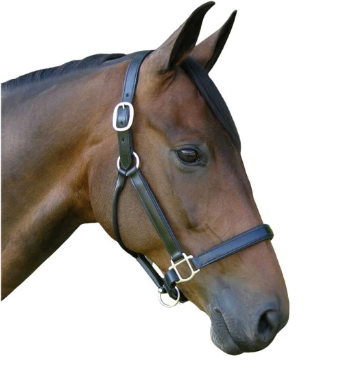 Red Barn Kelly Black Leather Halter 4 Red Barn Kelly Black Leather Halter - Image 2