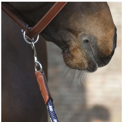 Antarès Lead Rope 5 Antarès Lead Rope - Image 3