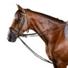 Dy'on Leather Draw Reins -Equestrian Supplie Store leather draw reins brown WO08ABR dyon 79607.1631386594