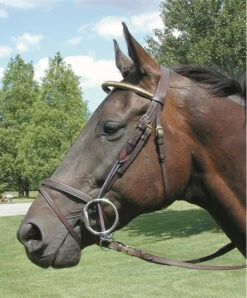 Nunn Finer Leather Gag Cheeks