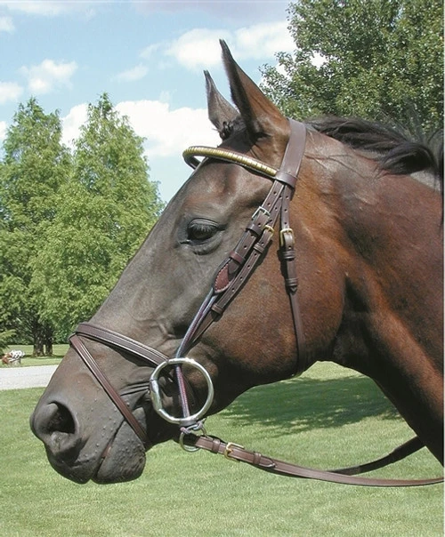 Nunn Finer Leather Gag Cheeks 3 Nunn Finer Leather Gag Cheeks