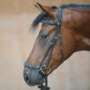 Kavalkade Levana Drop Noseband Bridle 2 Kavalkade Levana Drop Noseband Bridle -Equestrian Supplie Store levana drop noseband bridle black kavalkade 19037 68336.1555698675