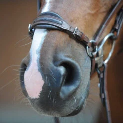 Kavalkade Levana Drop Noseband Bridle -Equestrian Supplie Store levana drop noseband bridle nose kavalkade 19037 57468.1555698688