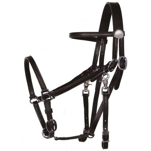 Tucker Halter Bridle Lite 2 Tucker Halter Bridle Lite