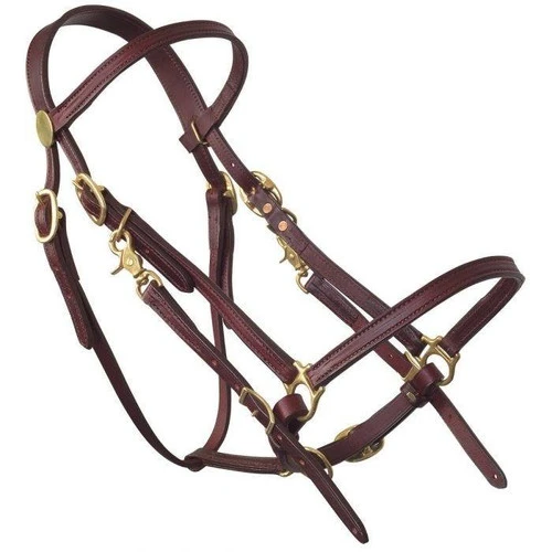 Tucker Halter Bridle Lite 3 Tucker Halter Bridle Lite - Image 2