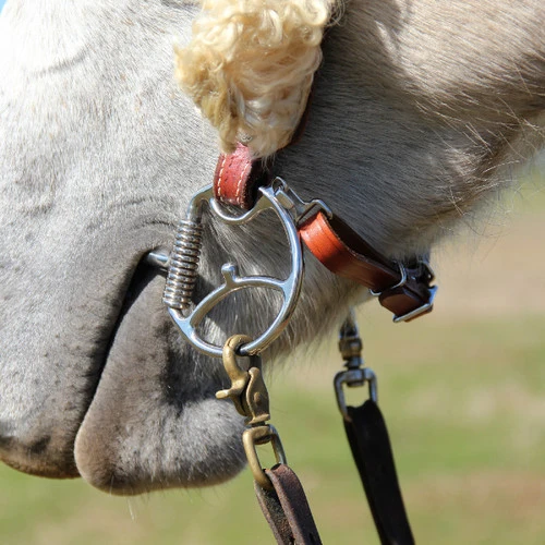 Myler Western Dee Low Port Comfort Snaffle With Hooks 3 Myler Western Dee Low Port Comfort Snaffle With Hooks