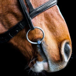 Fager Madeleine Titanium Jointed Loose Ring Bradoon -Equestrian Supplie Store madeleine titanium single joint bradoon horse fager 91453.1621118777