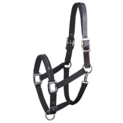 Schockemohle Memphis Fleece Lined Halter -Equestrian Supplie Store memphis breakaway black 1311 00020 schockemoehle 55437.1650664913