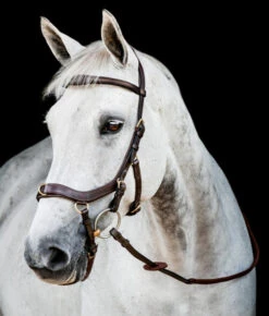 Horseware Ireland Horseware Micklem 2 Multi Bridle -Equestrian Supplie Store micklem 2 multi bridle havana sbmxm0 nab0 HW 37747.1689872130