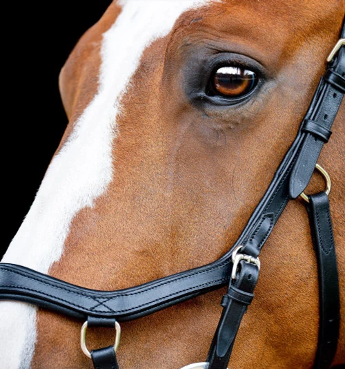 Horseware Ireland Horseware Micklem 2 Competition Bridle 10 Horseware Ireland Horseware Micklem 2 Competition Bridle - Image 8