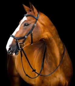 Horseware Ireland Horseware Micklem 2 Deluxe Competition Bridle 12 Horseware Ireland Horseware Micklem 2 Deluxe Competition Bridle -Equestrian Supplie Store micklem2 dlx competition black SBMUM2 K000 SC HW 63404.1689874464