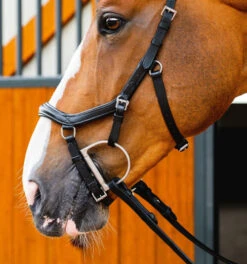 Horseware Ireland Horseware Micklem 2 Deluxe Competition Bridle 13 Horseware Ireland Horseware Micklem 2 Deluxe Competition Bridle -Equestrian Supplie Store micklem2 dlx competition black cheekpieceSBMUM2 K000 SC horseware ireland 23067.1689873947