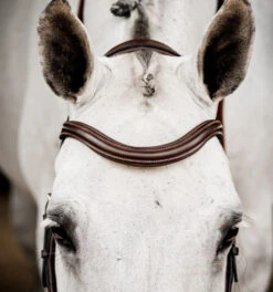 Horseware Ireland Horseware Micklem 2 Deluxe Competition Bridle 15 Horseware Ireland Horseware Micklem 2 Deluxe Competition Bridle -Equestrian Supplie Store micklem2 dlx competition havana browband SBMUM2 NAB0 SC horseware ireland 79266.1689874481