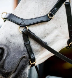 Horseware Ireland Horseware Micklem 2 Multi Bridle -Equestrian Supplie Store micklem2 multibridle black noseband SBMXM1 K000 LC HW 99249.1689871620
