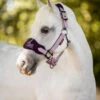 Mini LeMieux Vogue Halter & Lead Rope -Equestrian Supplie Store mini vogue headcollar fig pony lemieux 06965.1689972067