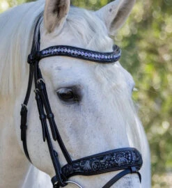 Halter Ego Munich Navy Floral Snaffle Bridle -Equestrian Supplie Store munich navy floral snaffle navy navy detail MUNICH halter ego 04698.1682639421