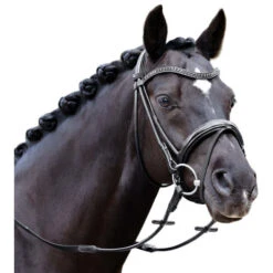 Passier Neptune Rolled Snaffle Bridle -Equestrian Supplie Store neptune bridle black crystal brow horse 855 passier 30948.1690228269