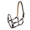 Waldhausen Nevada Hybrid Halter -Equestrian Supplie Store nevada hybrid halter brown gold 5050230 waldhausen 41556.1657228140