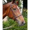 Nunn Finer Newmarket Shank Lead -Equestrian Supplie Store newmarket shank havana bay horse nunn finer 70404.1587245498