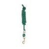 Perri's Nylon Lead Rope -Equestrian Supplie Store nylon lead hunter green 480S06 perris 21613.1599071681