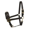 Perri's Nylon Lunge Cavesson -Equestrian Supplie Store nylon lunge halter black 805H perris 26069.1684772374