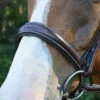 Red Barn Ocala Wide Contour Bridle -Equestrian Supplie Store ocala bridle brown noseband red barn 75409.1684371963