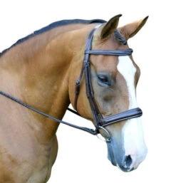 Red Barn Ocala Wide Contour Bridle -Equestrian Supplie Store ocala bridle brown white red barn 58175.1684371960