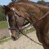 Ovation Stretch Cord Draw Reins -Equestrian Supplie Store ovation stretch cord draw reins 2 73056 95347.1527291793