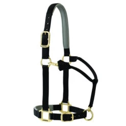 Weaver Leather Weaver Padded Adjustable Halter 5 Weaver Leather Weaver Padded Adjustable Halter -Equestrian Supplie Store padded adjustable halter black 357786P1 weaver 30225.1576366520