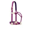 Weaver Leather Weaver Padded Adjustable Halter -Equestrian Supplie Store padded adjustable halter dahlia purple 35 778 weaver 46897.1606080010