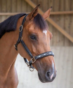 PÉNÉLOPE Pénélope Pearl Leather Halter