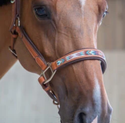 PÉNÉLOPE Pénélope Pearl Leather Halter -Equestrian Supplie Store pearl halter cognac noseband1 510 311 302 penelope 65794.1688687941