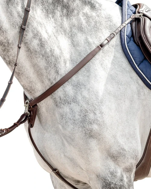 Prestige Pegaso Breastplate 4 Prestige Pegaso Breastplate - Image 2