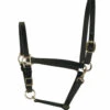 Perri's 3/4-Inch Leather Turnout Halter