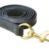 Perri's Leather Lead With Brass Snap 2 Perri's Leather Lead With Brass Snap -Equestrian Supplie Store perri s leather lead with brass snap 1 63908 05115.1527293486