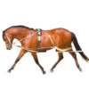 Pessoa Lunging System -Equestrian Supplie Store pessoa lunging system pony 460300 pessoa 98814.1641427912