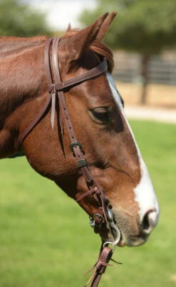 Weaver Leather Weaver Plains Indian Slim Brow Headstall -Equestrian Supplie Store plains indian slim brow hs brown lifestyle 10010 03 01 weaver 69487.1666315426