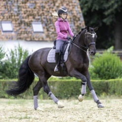 LeMieux Polo Bandages 13 LeMieux Polo Bandages -Equestrian Supplie Store polo bandages grey horse 9839 lemieux 08848.1670613727
