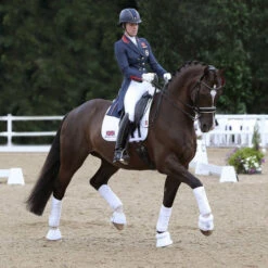 LeMieux Polo Bandages 9 LeMieux Polo Bandages -Equestrian Supplie Store polo bandages white horse 9849 lemieux 41651.1670613732