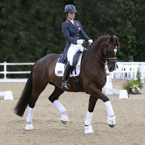 LeMieux Polo Bandages 4 LeMieux Polo Bandages - Image 2