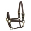 Perri's Premium Nylon Safety Halter 1 Perri's Premium Nylon Safety Halter -Equestrian Supplie Store premium nylon safety halter black 150HBL perris 43207.1684804357