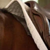 Pro4Mance Non-Slip Pad -Equestrian Supplie Store pro4mance non slip pad saddle ace 57954.1689717380