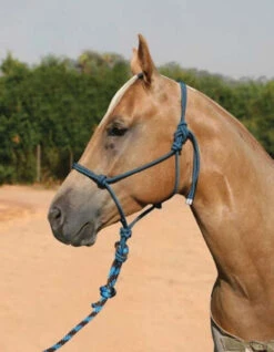 Professional's Choice Rope Halter With 10 Foot Lead -Equestrian Supplie Store professional s choice rope halter with 10ft lead 1 67619 07307.1537223883