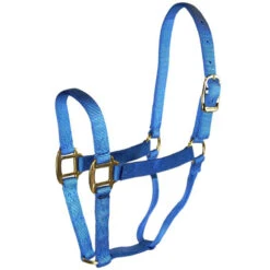 Hamilton Quality 1" Nylon Halter 18 Hamilton Quality 1" Nylon Halter -Equestrian Supplie Store quality 1in nylon halter berry blue 1Q BY hamilton 67147.1685665703