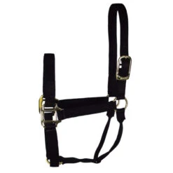 Hamilton Quality 1" Nylon Halter 17 Hamilton Quality 1" Nylon Halter -Equestrian Supplie Store quality 1in nylon halter black 1Q hamilton 13858.1685665721